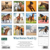 What Horses Teach Us 2024 12" x 12" Wall Calendar