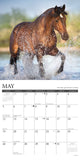 What Horses Teach Us 2024 12" x 12" Wall Calendar