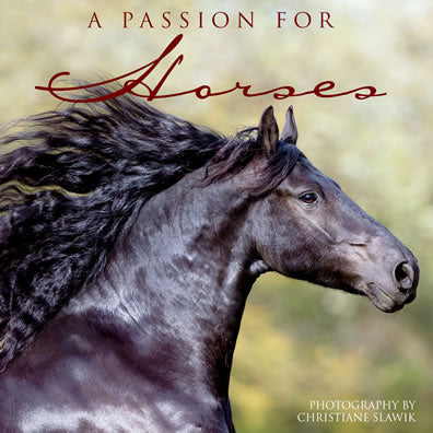 A Passion For Horses Book