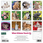What Kittens Teach Us 2024 12" x 12" Wall Calendar