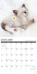 What Kittens Teach Us 2024 12" x 12" Wall Calendar