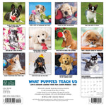 What Puppies Teach Us 2024 12" x 12" Wall Calendar