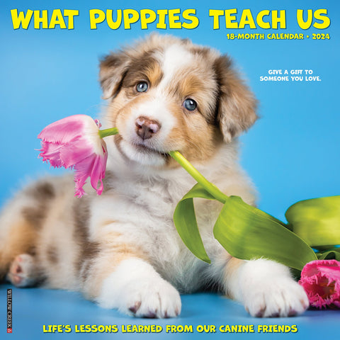 What Puppies Teach Us 2024 12" x 12" Wall Calendar