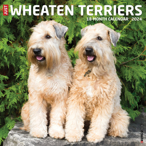 Just Wheaton Terriers 2024 12" x 12" Wall Calendar