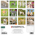Just Whippets 2024 12" x 12" Wall Calendar