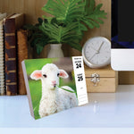 Baby Animals 2024 6.2" x 5.4" Box Calendar