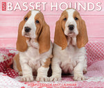 Basset Hounds 2024 6.2" x 5.4" Box Calendar