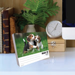 Beagles 2024 6.2" x 5.4" Box Calendar