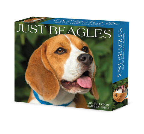 Beagles 2024 6.2" x 5.4" Box Calendar