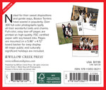 Boston Terriers 2024 6.2" x 5.4" Box Calendar