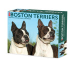 Boston Terriers 2024 6.2" x 5.4" Box Calendar