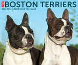 Boston Terriers 2024 6.2" x 5.4" Box Calendar