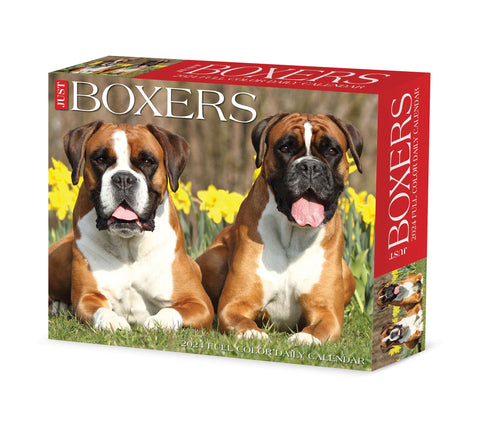 Boxers 2024 6.2" x 5.4" Box Calendar