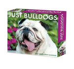 Bulldogs 2024 6.2" x 5.4" Box Calendar