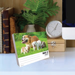 Bulldogs 2024 6.2" x 5.4" Box Calendar