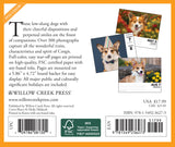 Corgis 2024 6.2" x 5.4" Box Calendar