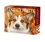 Corgis 2024 6.2" x 5.4" Box Calendar
