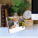 Corgis 2024 6.2" x 5.4" Box Calendar