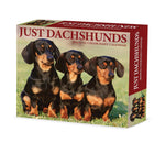 Dachshunds 2024 6.2" x 5.4" Box Calendar
