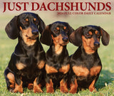 Dachshunds 2024 6.2" x 5.4" Box Calendar