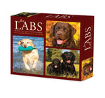 Labs 2024 6.2" x 5.4" Box Calendar