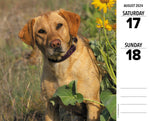 Labs 2024 6.2" x 5.4" Box Calendar