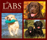 Labs 2024 6.2" x 5.4" Box Calendar