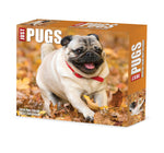 Pugs 2024 6.2" x 5.4" Box Calendar