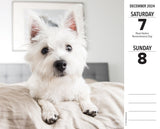 Westies 2024 6.2" x 5.4" Box Calendar