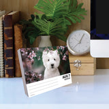 Westies 2024 6.2" x 5.4" Box Calendar