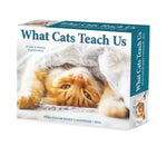 What Cats Teach Us 2024 6.2" x 5.4" Box Calendar
