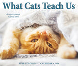 What Cats Teach Us 2024 6.2" x 5.4" Box Calendar