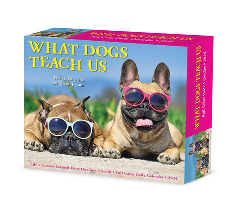 What Dogs Teach Us 2024 6.2" x 5.4" Box Calendar
