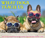 What Dogs Teach Us 2024 6.2" x 5.4" Box Calendar
