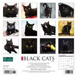 Just Black Cats 2024 7" x 7" Mini Wall Calendar