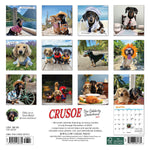 Crusoe the Celebrity Dachshund 2024 7" x 7" Mini Wall Calendar
