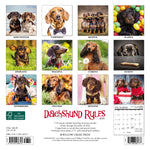 Dachshund Rules 2024 7" x 7" Mini Wall Calendar