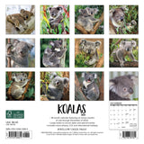 Koala Bears 2024 7" x 7" Mini Wall Calendar