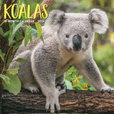 Koala Bears 2024 7" x 7" Mini Wall Calendar
