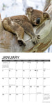 Koala Bears 2024 7" x 7" Mini Wall Calendar