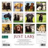 Just Labs 2024 7" x 7" Mini Wall Calendar