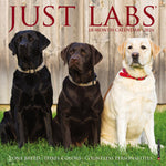 Just Labs 2024 7" x 7" Mini Wall Calendar