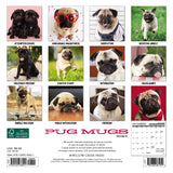 Pug Mugs 2024 7" x 7" Mini Wall Calendar