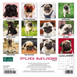 Pug Mugs 2024 7" x 7" Mini Wall Calendar