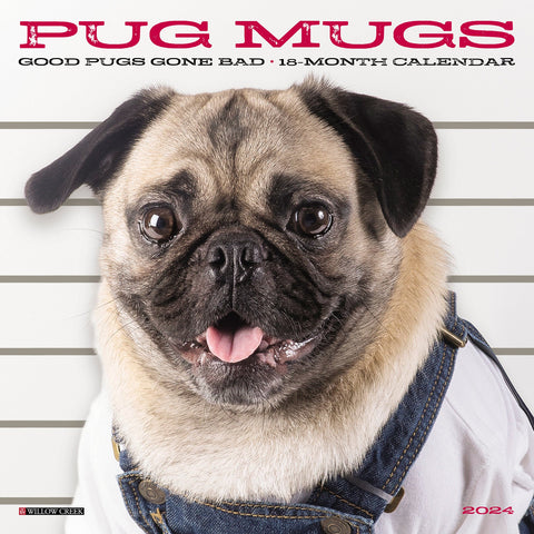 Pug Mugs 2024 7" x 7" Mini Wall Calendar