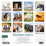 What Horses Teach Us 2024 7" x 7" Mini Wall Calendar