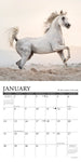What Horses Teach Us 2024 7" x 7" Mini Wall Calendar