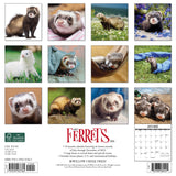 Ferrets 2024 12" x 12" Wall Calendar