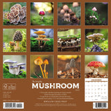 Mushroom (The Art of the) 2024 12" x 12" Wall Calendar
