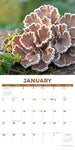 Mushroom (The Art of the) 2024 12" x 12" Wall Calendar